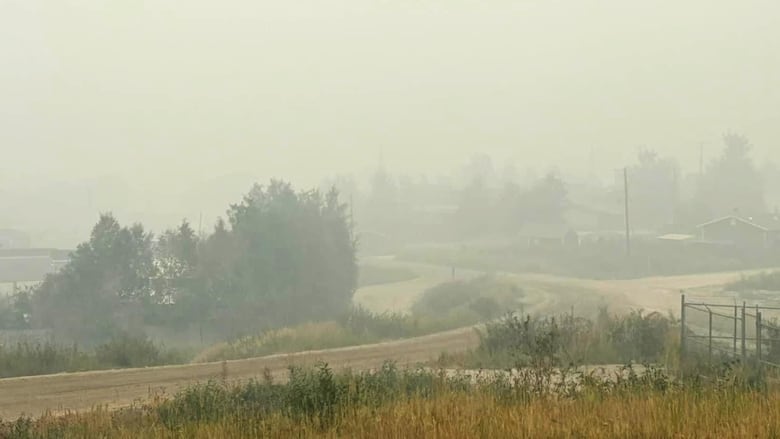 Smoke covers a long highway and nearby tree line.