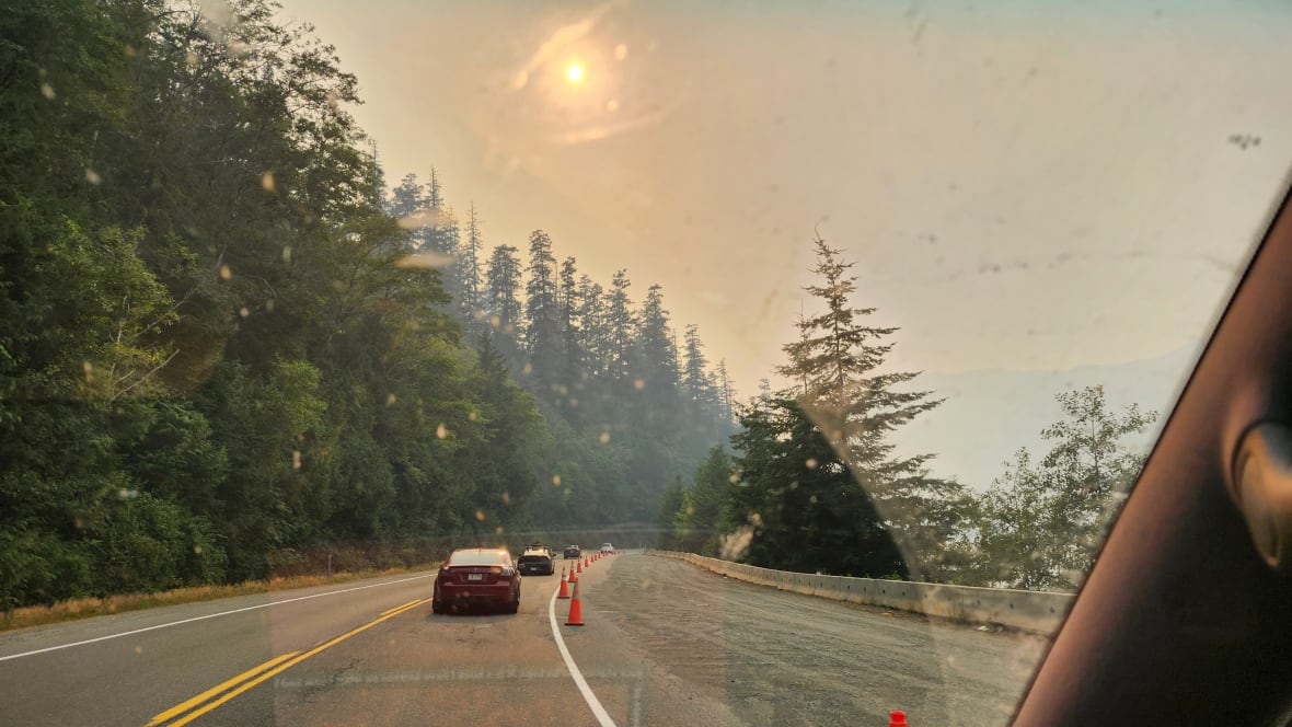 An orange sky and haze is seen along a forested road.