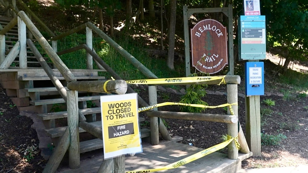 The entrance to a woodsy trail with a sign that says "woods closed to travel.: