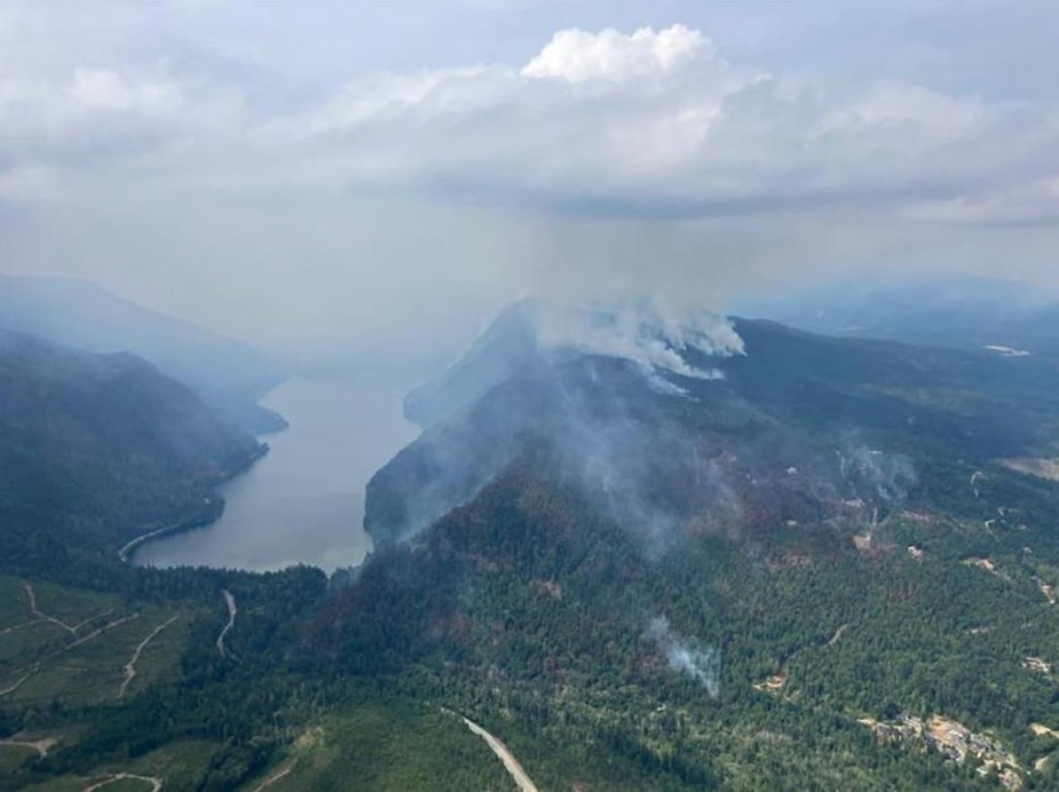 Wildfire smoke smoulders up in a forest near a lake