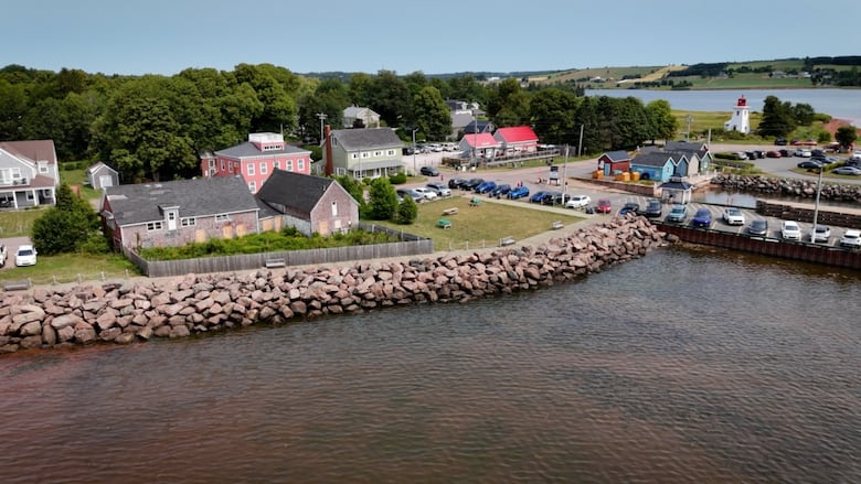 A coastal town with colorful houses, shops, a rocky shore, and a distant white lighthouse with a red roof