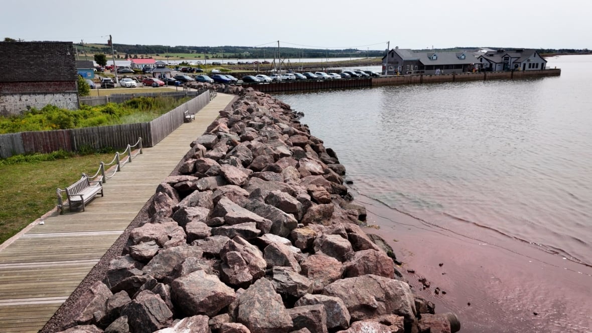 Coastal scene with a stone breakwater, wooden boardwalk, grassy area, cars, and buildings in the background