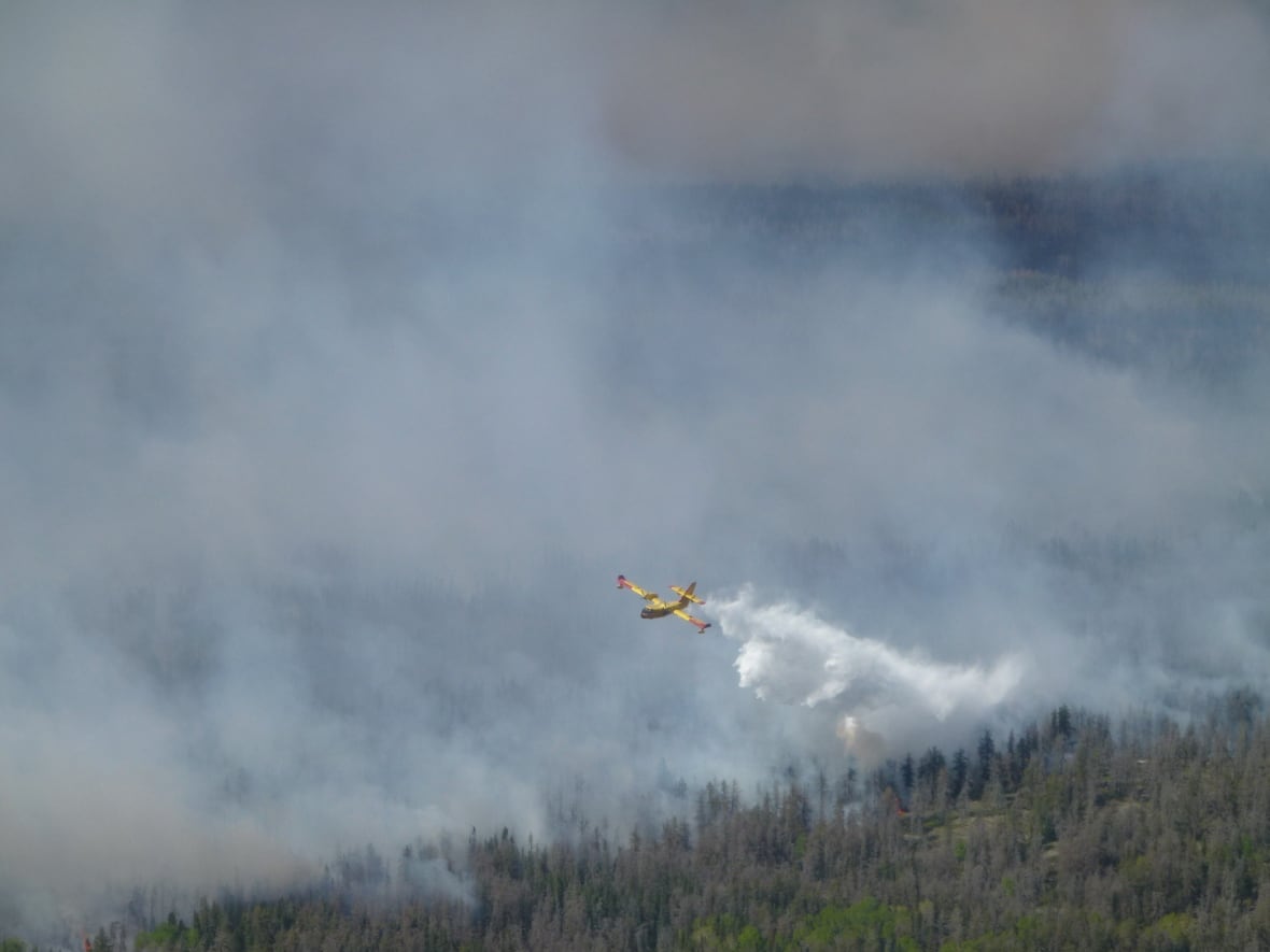 A waterbomber douses a wildfire from above.