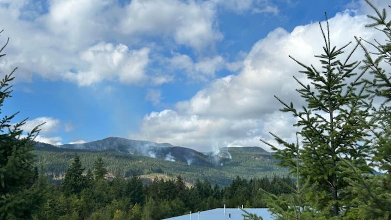 Smoke billows up from a forest under blue skies with white clouds