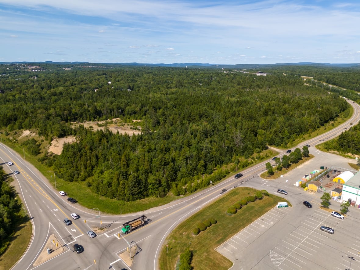 An aerial view of a wooded area bounded by busy roads.