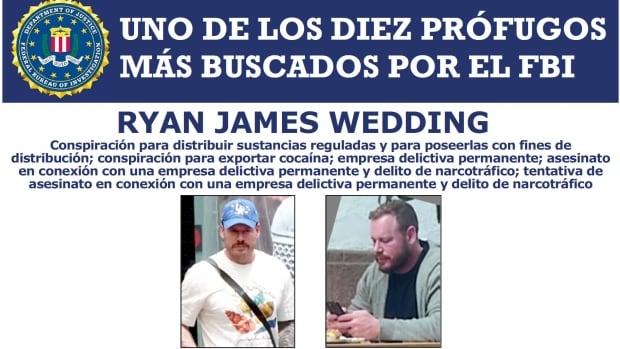 FBI focuses on central Mexico in hunt for Canadian ex-Olympian Ryan Wedding