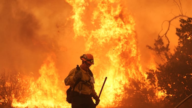 A firefighter battles the Canyon Fire in Halsey Canyon, Calif.
