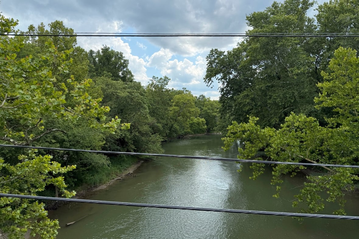 A river of a bridge appears, with trees on both sides.
