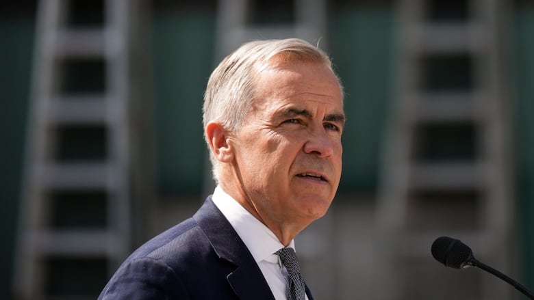 Prime Minister stands outdoors at a podium mic looking off into the distance