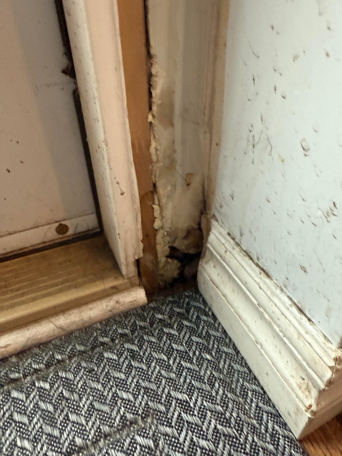 a lower corner of an interior of an inside of a house with a door is pictured