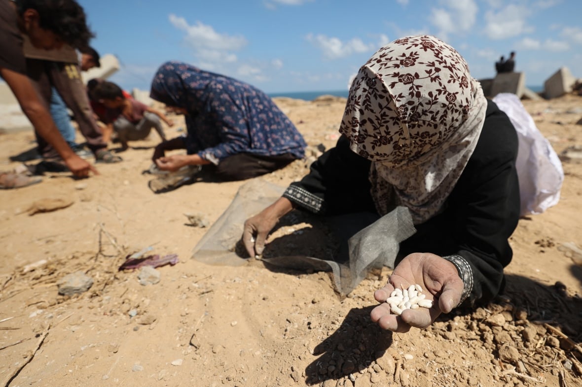 Two women wearing headscarves crouch down to the sand, picking out individual beans.