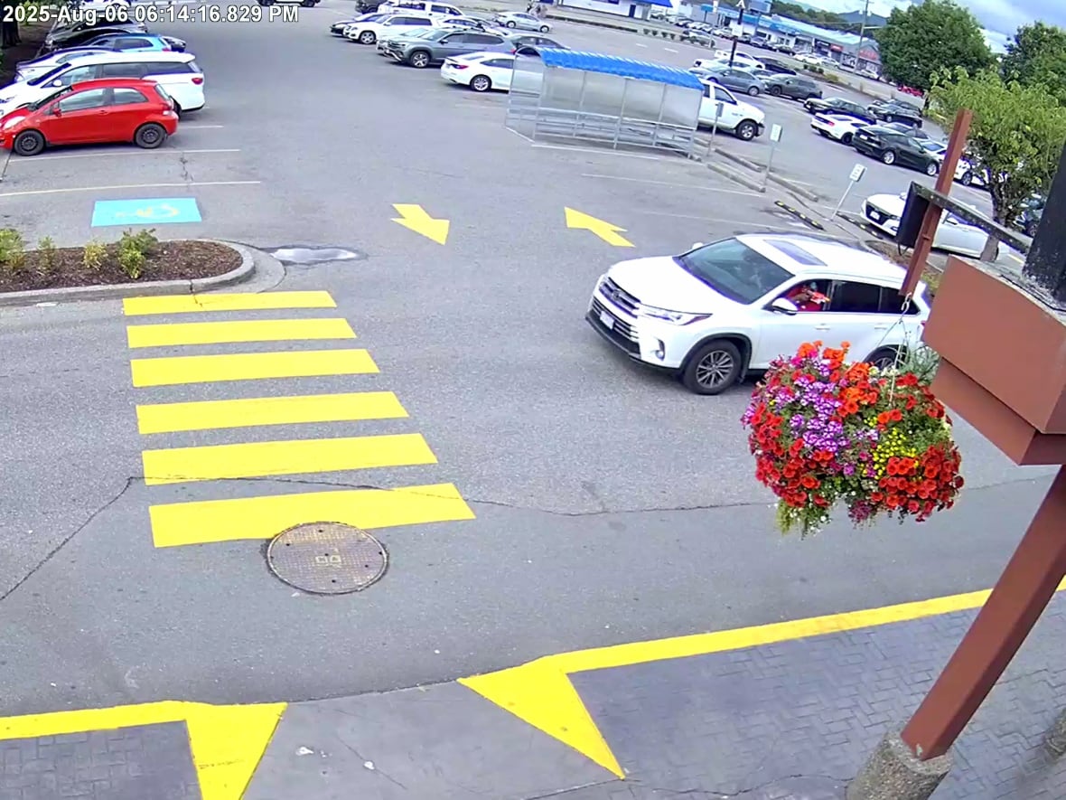 A person in a white vehicle in a parking lot with a pellet gun pointed out the window of the driver's-side window. A flower basked hangs from a standard in the foreground.