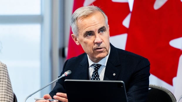 Prime Minister Mark Carney seated at table 
