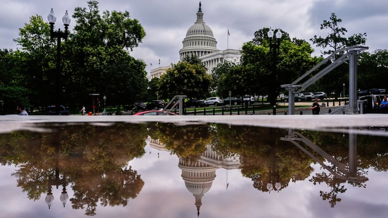 A large building with a dome roof and Greek-style columns is seen reflected in a puddle.