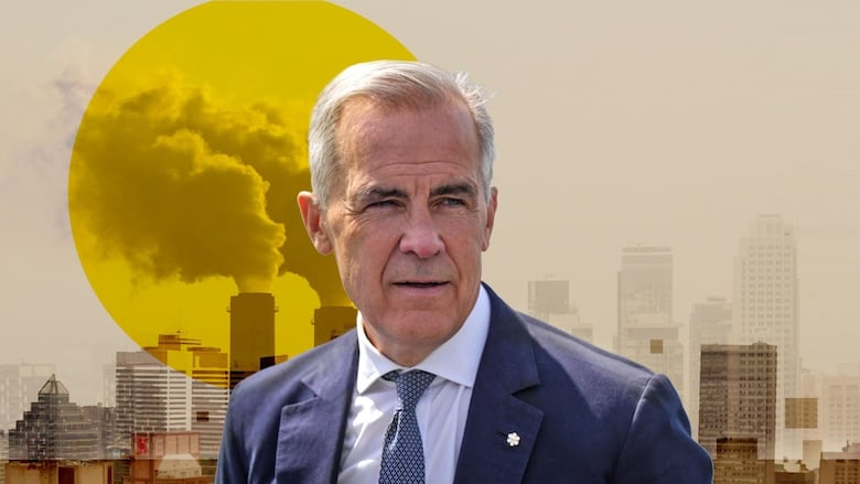 A man in a suit stands in front of an illustration of pollution. 