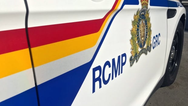 Several individuals have been taken into custody in relation to the incident, the Saskatchewan RCMP said in a Friday news release. A close-up of the side of an RCMP vehicle.
