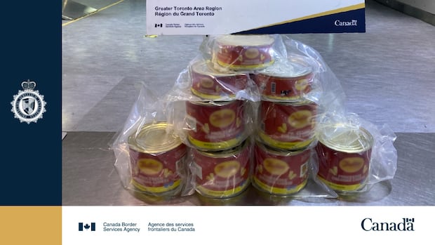 Traveller arrested trying to smuggle $2M worth of cocaine inside cans of cheese: CBSA | CBC News