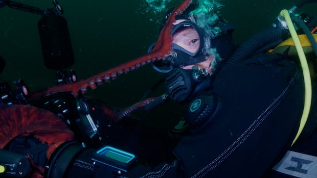 You Won't Believe What This Octopus Did with a Camera!
