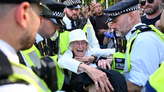 London police arrested hundreds of major protesters of Pro-Palestinian defends against the UK new law London police arrested hundreds of major protesters of Pro-Palestinian defends against the UK new law