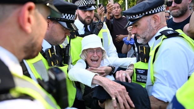 Police officer carry away a protester.