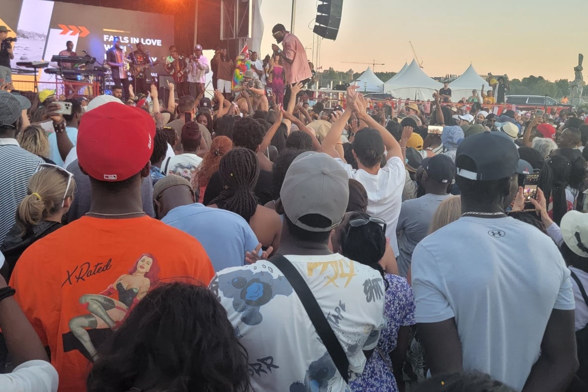 Crowd of people cheering during a concert.