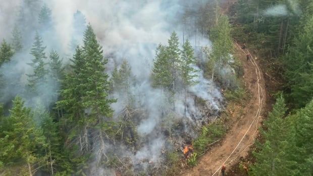 Copious amounts of smoke arises from a section of a forest.
