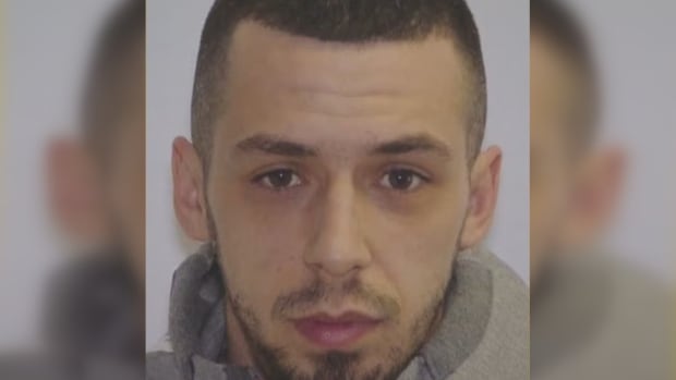 Mug shot of man wearing grey hoodie with a small beard.