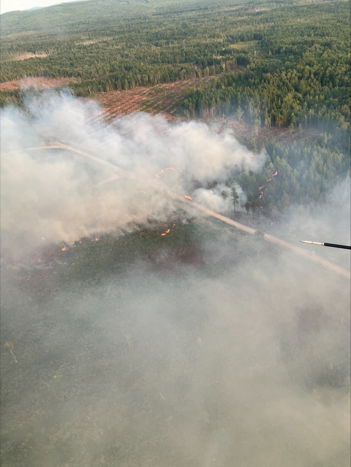 Smoke coming from a forest fire, we can see some flames.