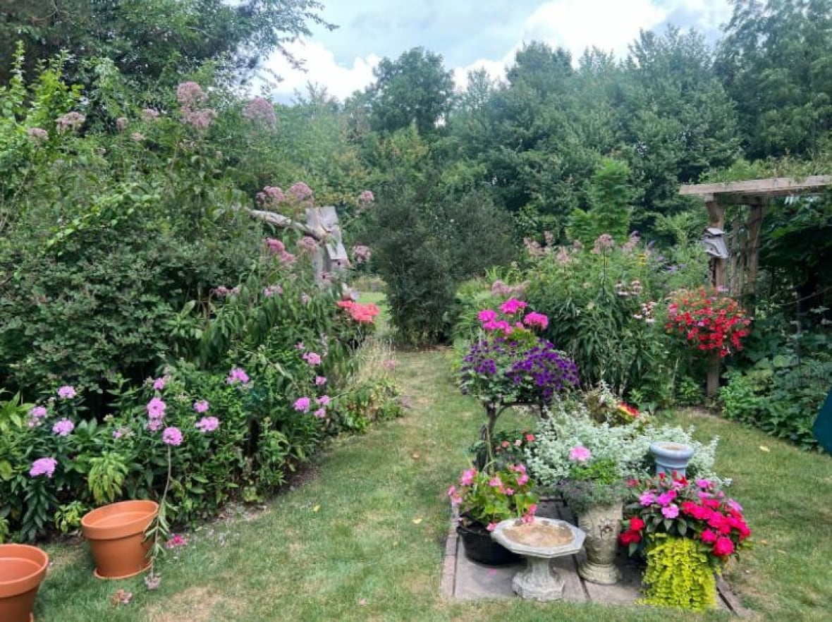Um lindo jardim.