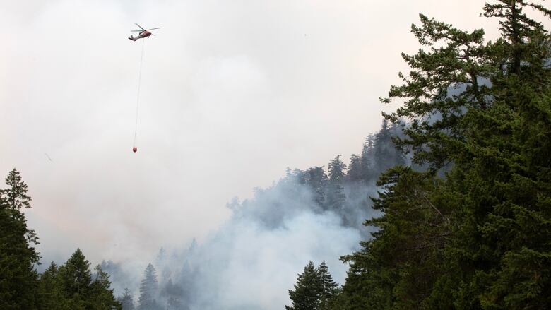 A helicopter is visible hovering above a forest where smoke rises. 