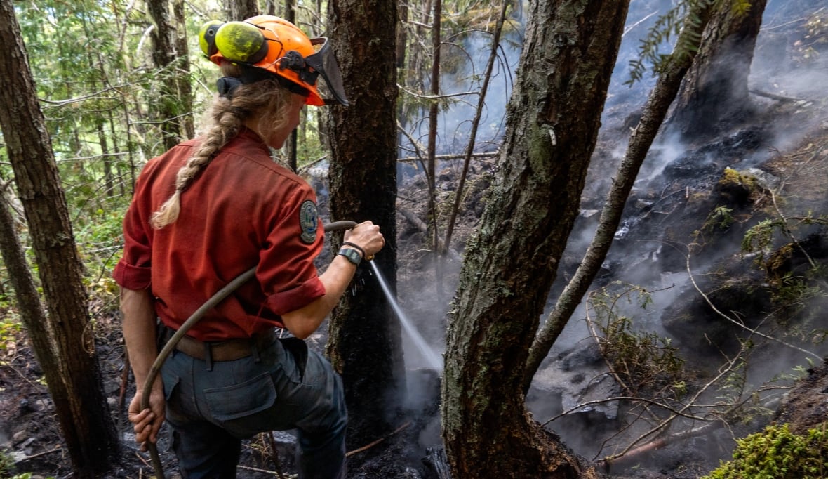 Uma mulher que usa um capacete e pulverizando uma cobra é mostrada por trás em uma floresta onde a fumaça vinha ao redor do fundo das árvores. 