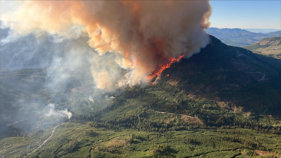 A fire burns with bright orange flame on a forested hill.