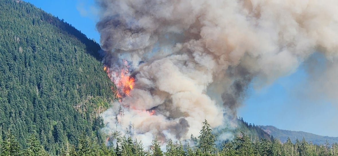 Smoke and flames arise from a forested hill.