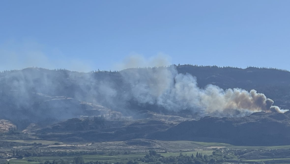 A wildfire burns on a hill.