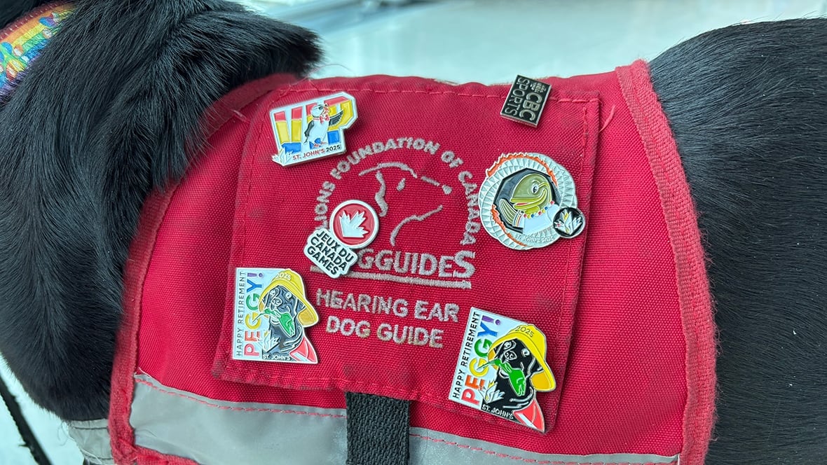 A close-up photo of the side of a service dog, showing a red vest adorned with six pins. Two of which, at the bottom, have an image of a dog wearing a Sou'wester hat.