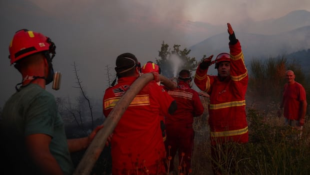 Fire is wrecking in a few European countries as the burning heat continues
