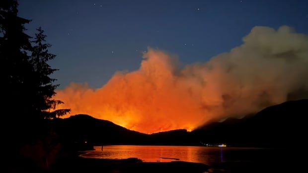 A wildfire emits thick orange smoke above a lake at night.