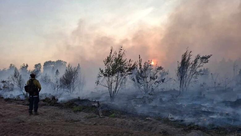 A firefighter stands next to large plumes of smoke and charred forest