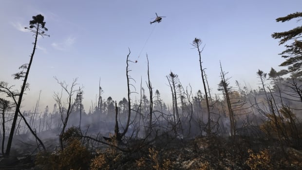 A helicopter drops water on the wildfire. There is burnt forest in the foreground.