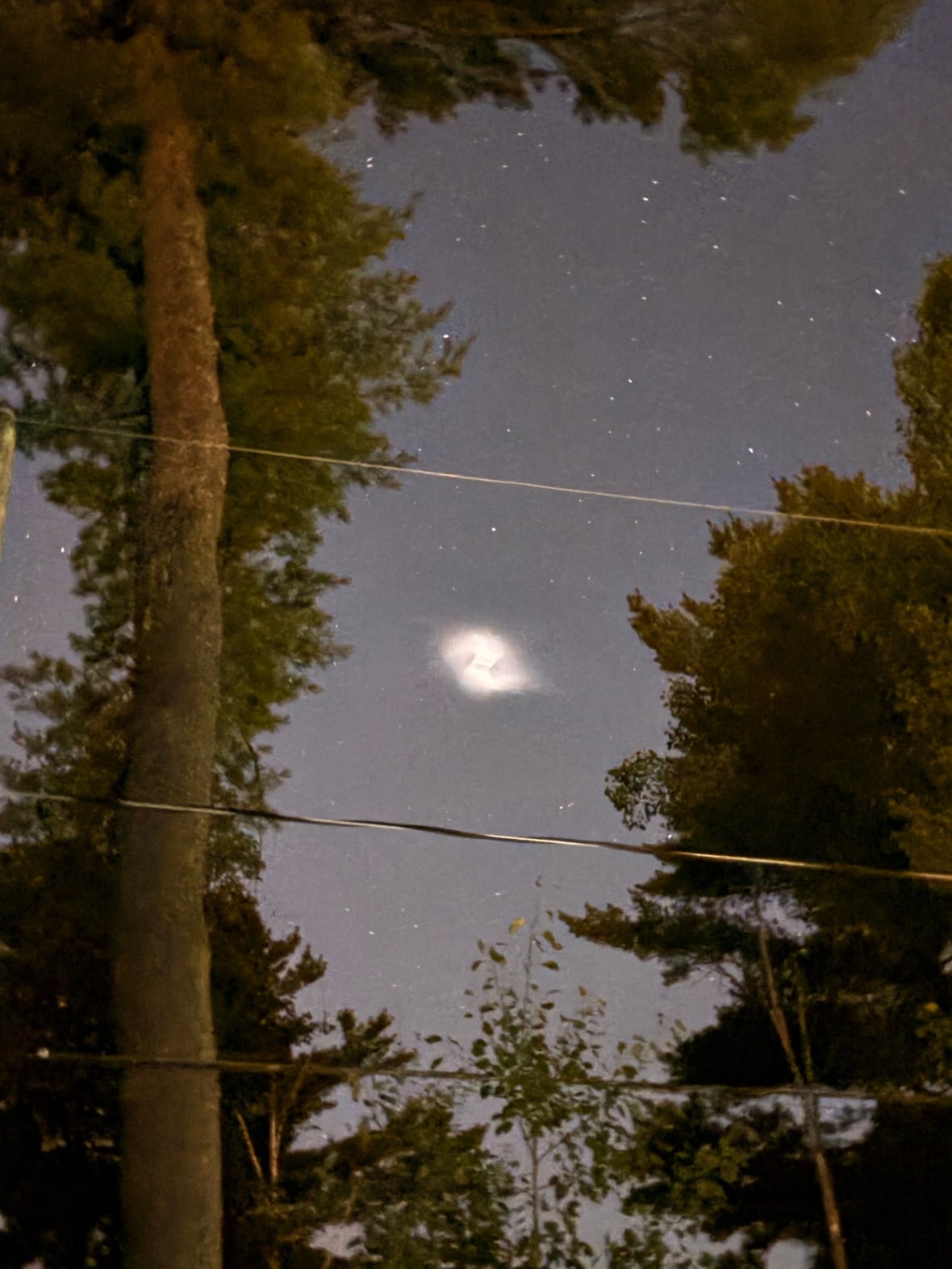 A bright spiraling light is seen in the sky with trees and wires in the foreground.