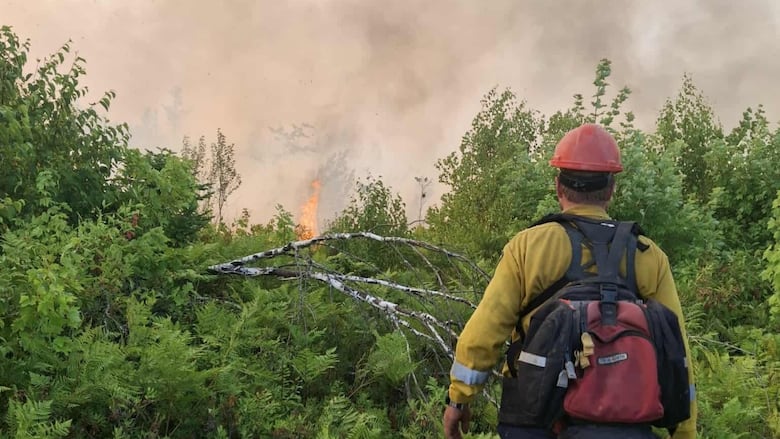 A firefighter standing in green brush with smoke and fire ahead of him