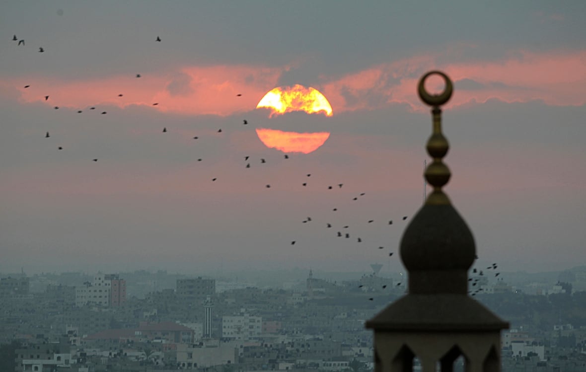 Birds fly during sunrise in Gaza on August 21, 2014.