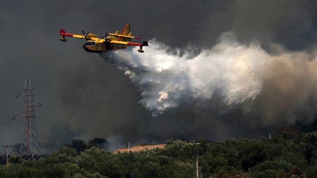Canadian MP Urges National Aerial Firefighting Fleet to Combat Escalating Wildfire Crisis