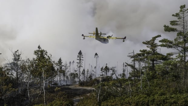 A water tanker flies over a wooded area full of smoke. 