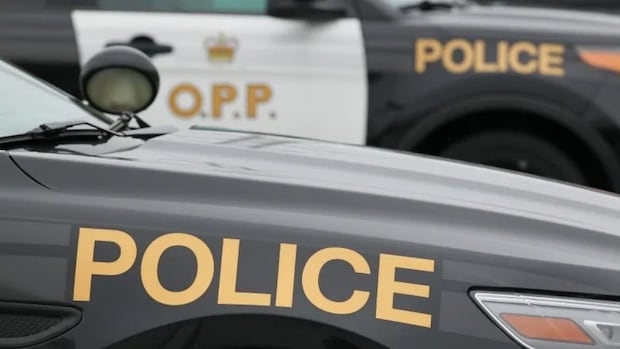 Man dead after motorcycle crash in the Muskoka area: OPP | CBC News