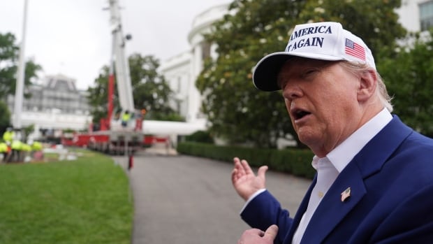 U.S. President Donald Trump speaks as a flag pole is installed on the South Lawn of the White House, Wednesday, June 18, 2025, in Washington.