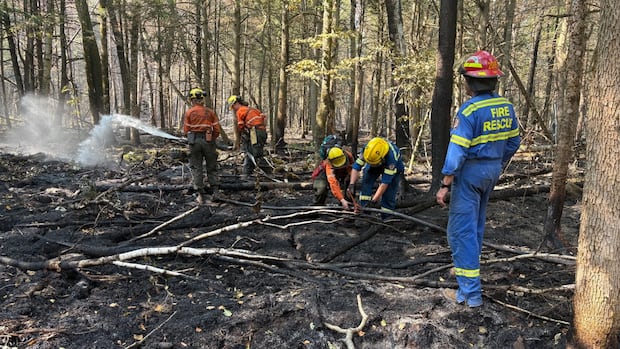 Fire crews continue to battle Kawartha Lakes, Ont. fires | CBC News