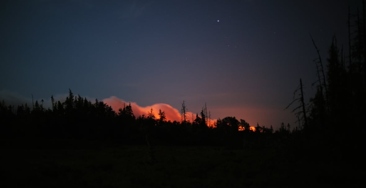 A glow of orange just above a treeline in a night sky.