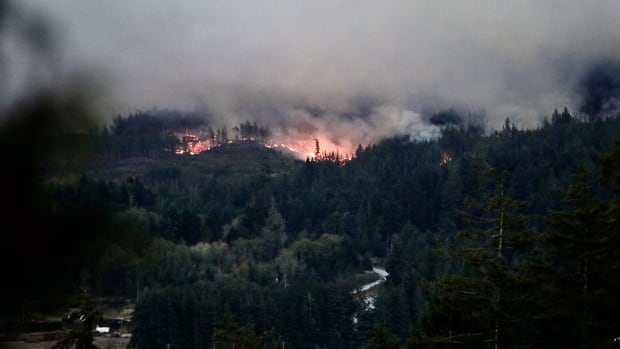 A fire burns on a forested mountain. 