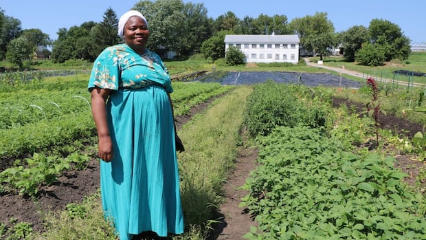 Historic Quebec City farmland gets Afro-Caribbean twist